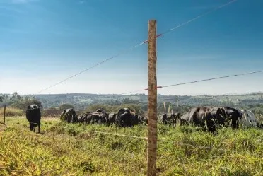 Lei estabelece requisitos para instalação de cercas elétricas em áreas rurais. Entenda