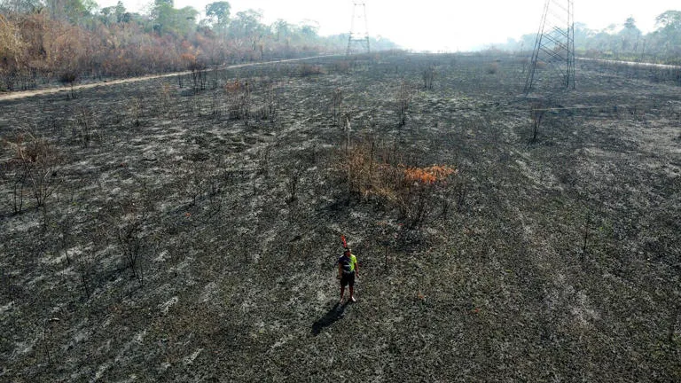 Sem os rios voadores criados pela umidade da floresta, o agronegócio, considerado o motor econômico do Brasil, pode se tornar inviável.